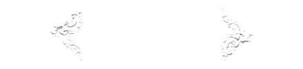 Q & A